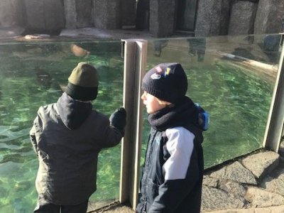 Žluťásci v zoo Praha
