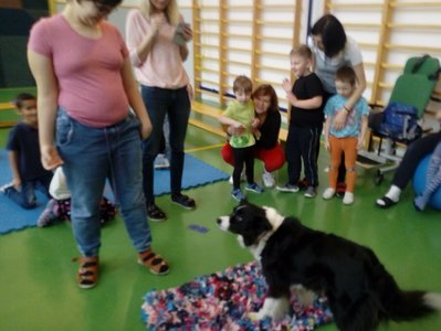 Schovávačka pamlsků v kouzelném koberci 