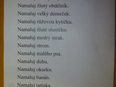 DÚ - Čtení s porozuměním