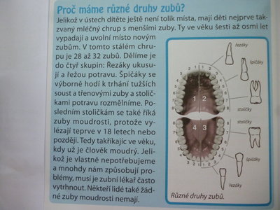 Veselé zoubky - nejzvídavější dětské otázky