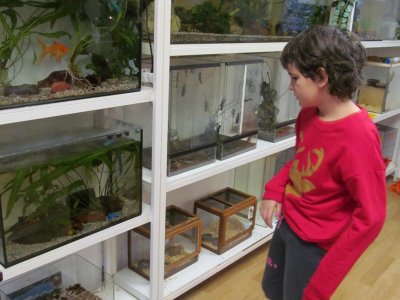 Návštěva zoo koutku v Domě dětí a mládeže