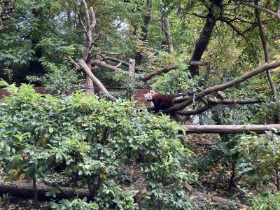 Zoo Chomutov