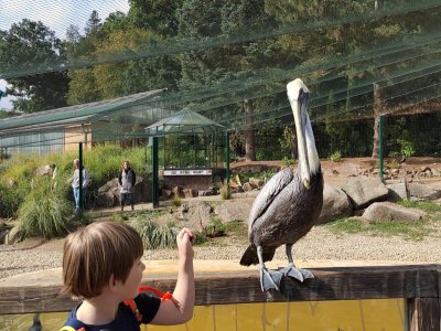 ZOO Plzeň