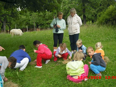 2010-06-21 Kurz EVVO na Toulcově dvoře (MŠS)