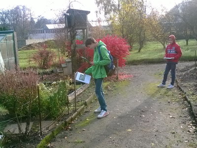 2013-10-22 Botanická soutěž