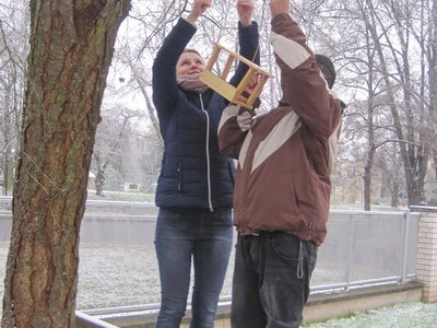 2014-12-19 Dej ptáčku do zobáčku