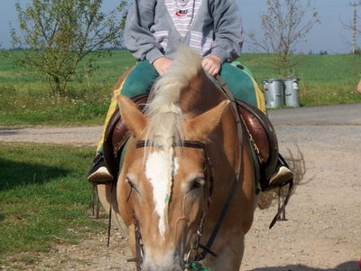 2011-09-27 Návštěva farmy Hedecko (ZŠP a ZŠS)