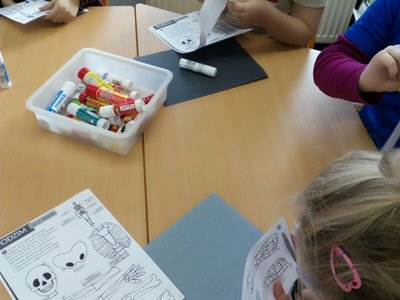 Vypracováváme pracovní listy na téma lidské tělo