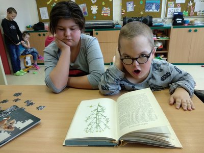 Prohlížíme si obrázky bylinek