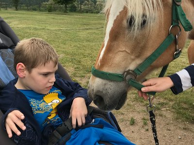 Výběr z fotografií školy Škola na farmě