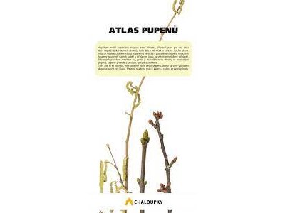 atlas pupenů, který máme ve škole