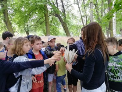 Stanoviště: Peří a srst