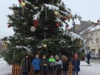 Vánoční stromeček na Husově náměstí