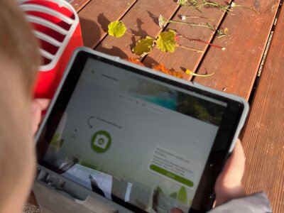 Aplikace Pl@ntNet je intuitivní.