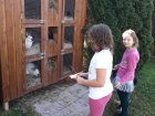 Návštěva zoo koutku v botanické zahradě
